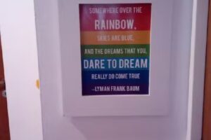 American Institute Online