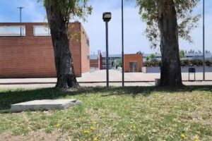 Anexo Escuela N11 De 15