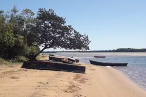 Apipe Chico Colegio N219