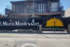 Asociacion Civil Instituto De Enseñanza Primaria y Secundaria María Montessori