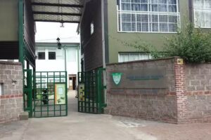 Babar Bilingual School