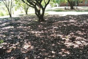 Bachillerato Orientado Provincial Nº 37