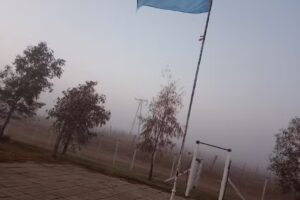 Ce Coronel L Nelson La Margarita