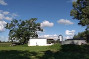 Campo Instituto Agropecuario de Monte