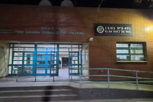 Cens N 3493 Elsa Ruiz De Rei