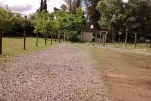 Centro de Educación Activa John Dewey