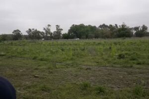 Centro de Educación Agraria N7