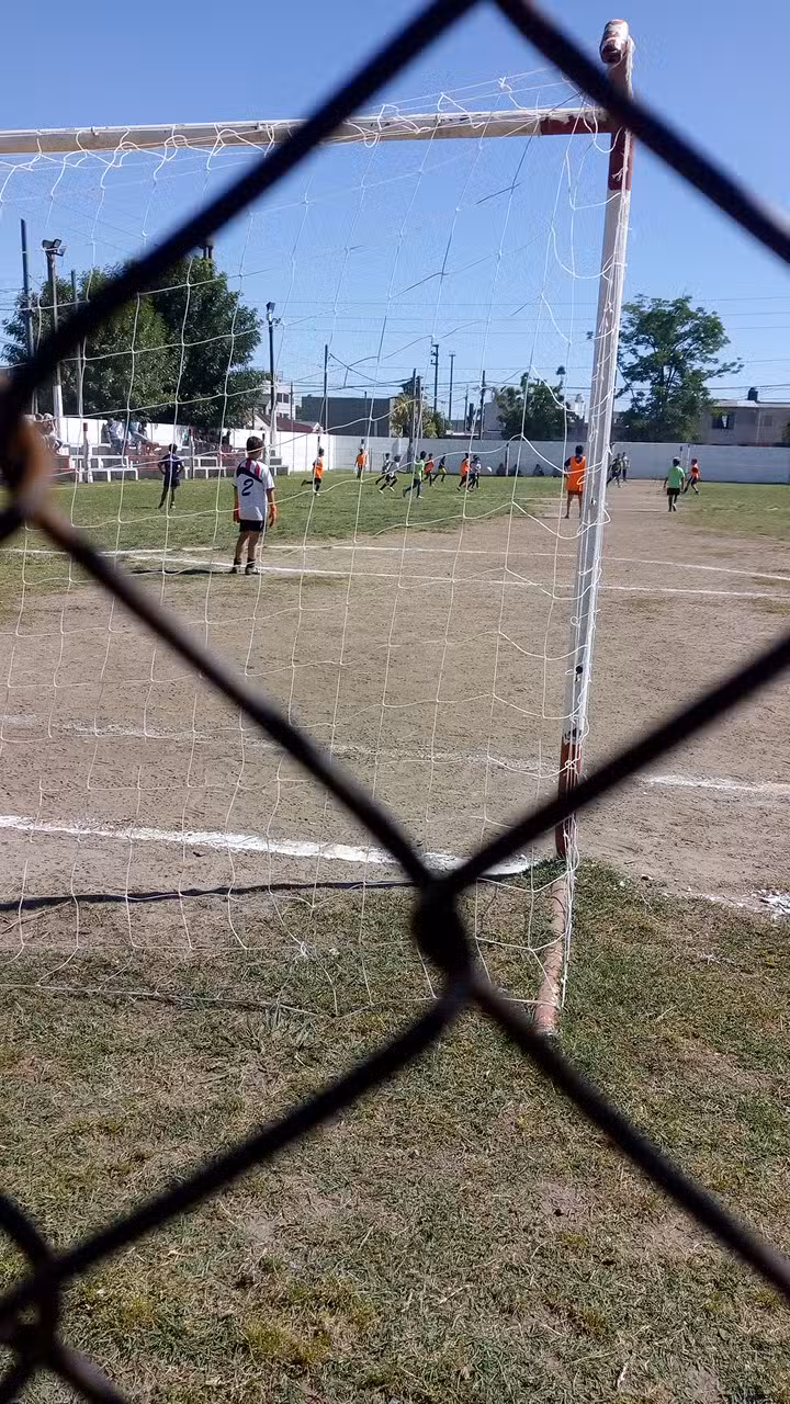 Centro De Educación Física Nº14