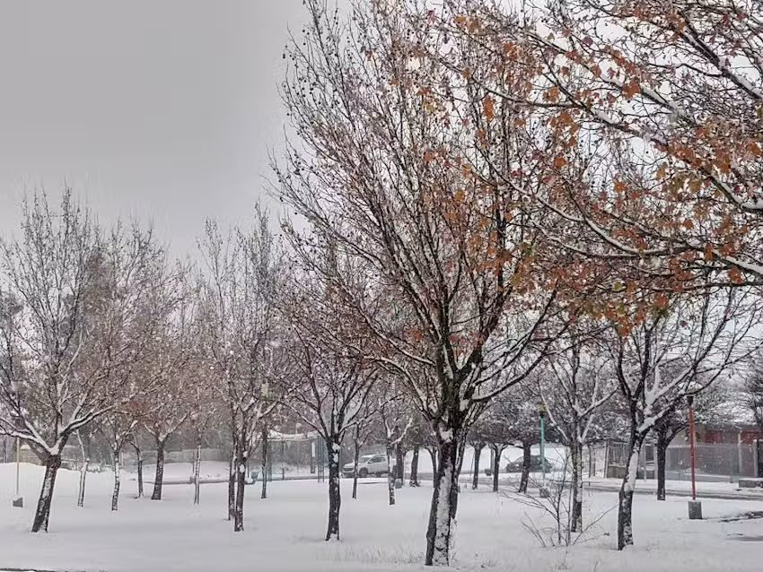 Centro Provincial de Enseñanza Media 51