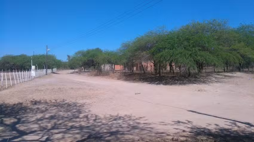 Chañar Pozo del Medio