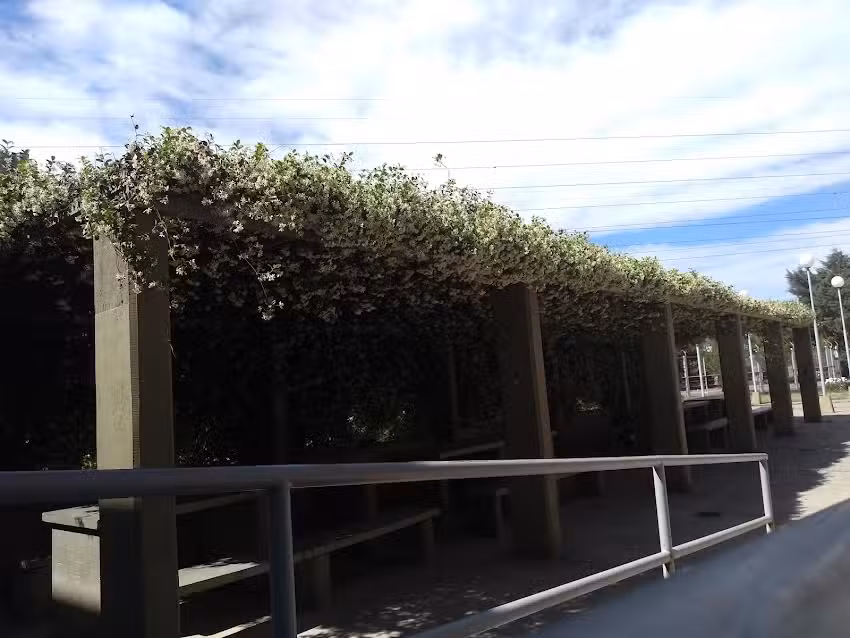 Colegio 5020 Nestor Oscar Palacios