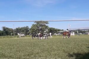 Colegio Agrotecnico El Tejado