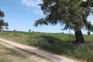 Colegio Agrotecnico Madre Tierra