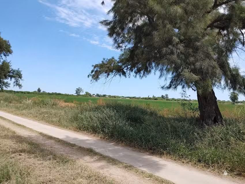 Colegio Agrotecnico Madre Tierra