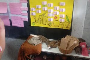 Colegio Alfonsina Storni