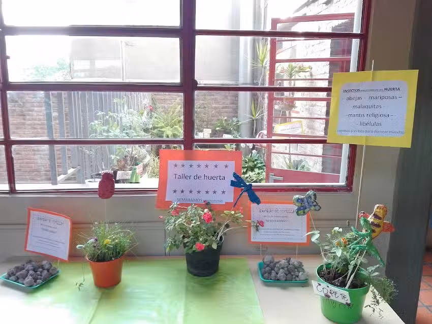 Colegio Belgrano Uno