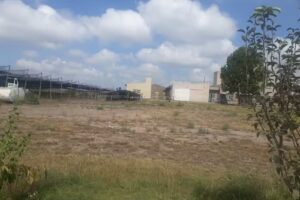 Colegio Camilo Carballo