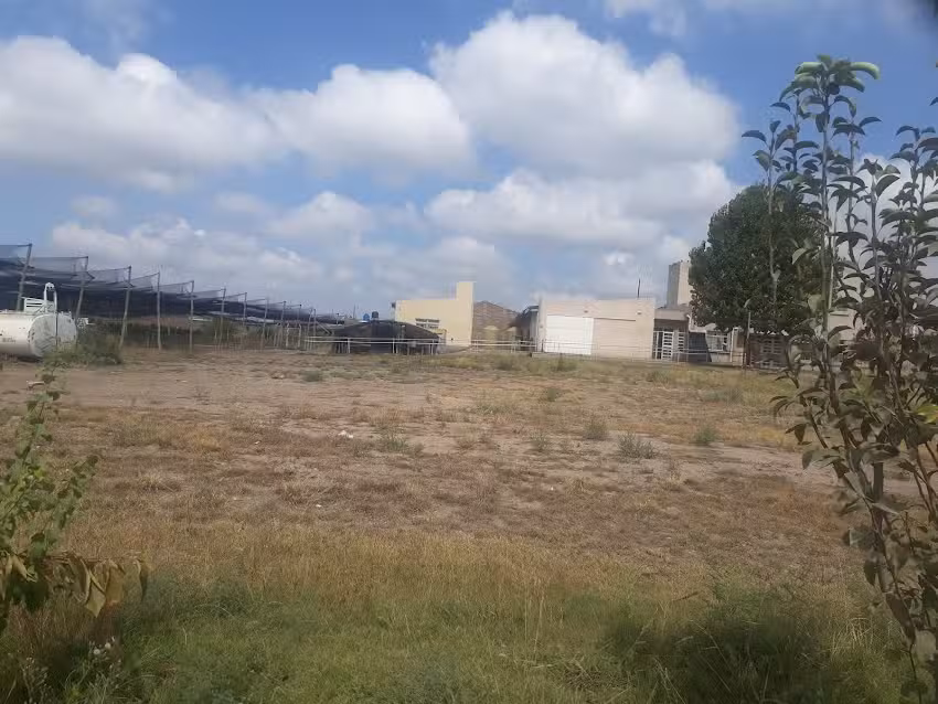 Colegio Camilo Carballo