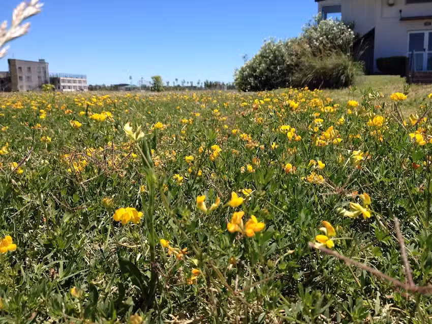 Colegio Cardenal Pironio Marín