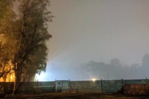 Colegio Del Faro Sede Benavídez