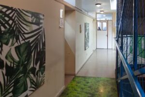 Colegio Ecos Escuela Secundaria