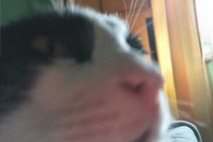 Colegio Juan de Garay