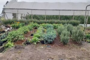 Colegio Juan Mantovani