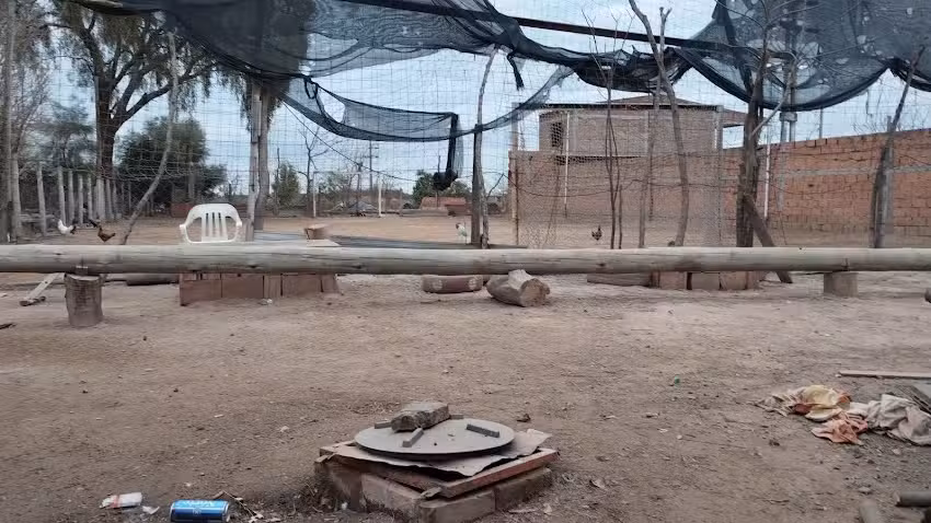 Colegio Mariano Avila