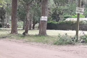 Colegio Modelo Santa Teresita