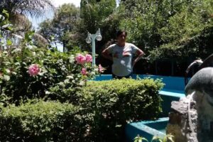 Colegio Nido de Águilas