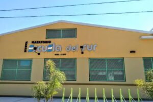 Colegio Nueva Escuela del Sur