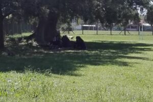 Colegio Padre Faustino M Mennel