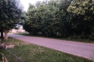 Colegio Parroquial San Jose