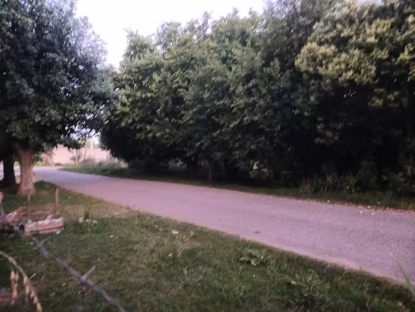 Colegio Parroquial San Jose