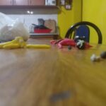 Colegio Perito Moreno