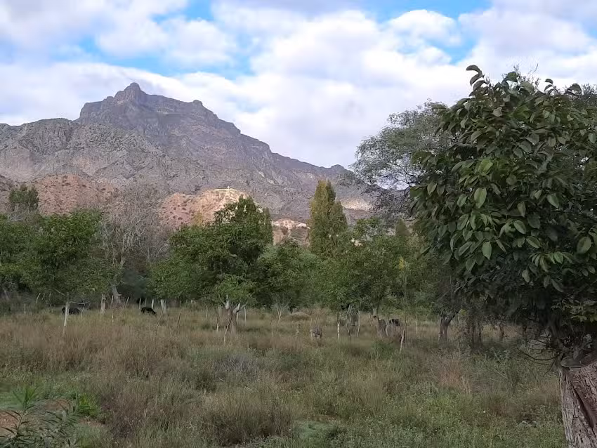 Colegio Provincial de Santa Cruz