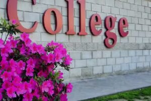 Colegio Ryans College