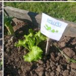 Colegio San Francisco