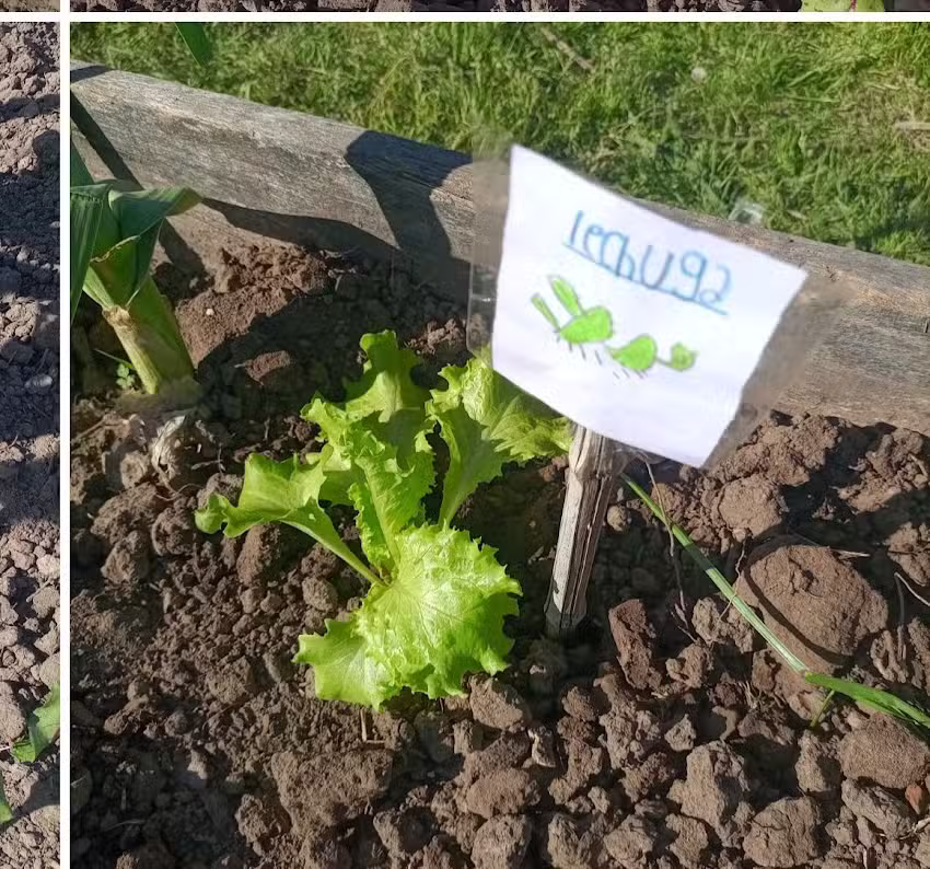 Colegio San Francisco