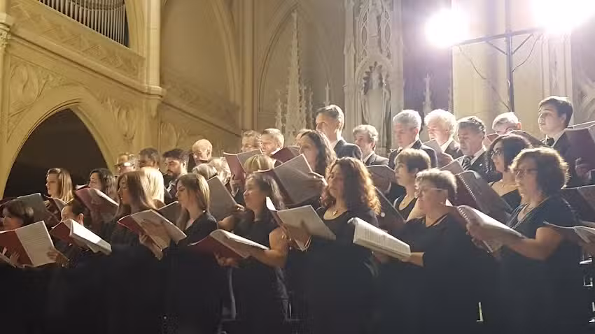 Colegio San Patricio