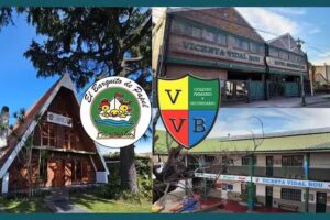 Colegio Vicenta Vidal Bou Nivel Secundario