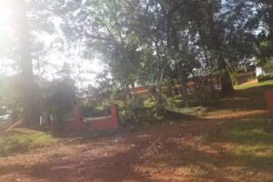 Complejo Agro Educativo Iea N 13