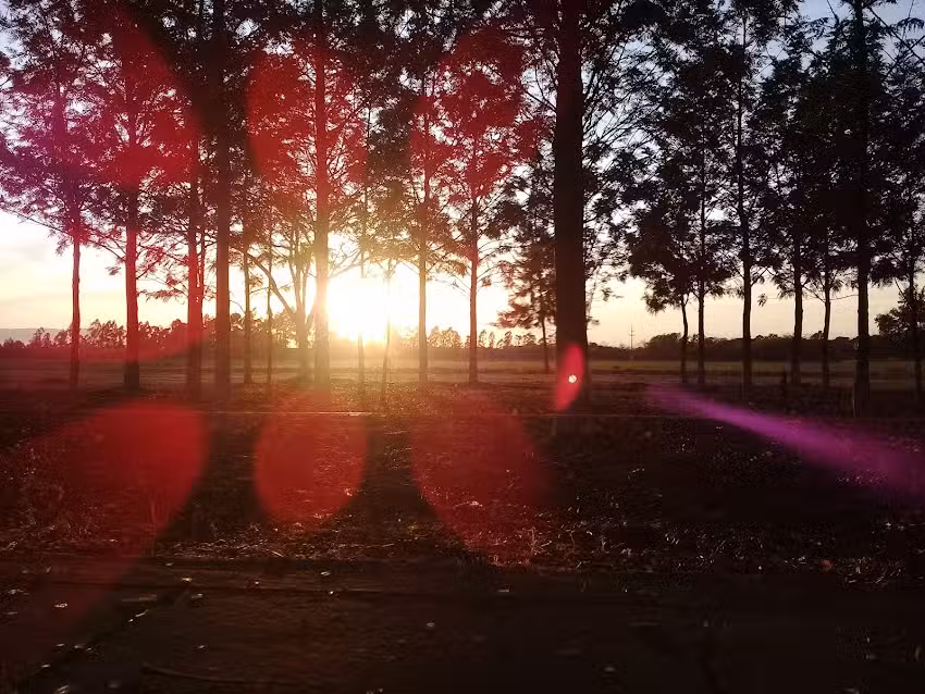 Complejo Educativo Agropecuario N 1 Ing Ricardo José Hueda