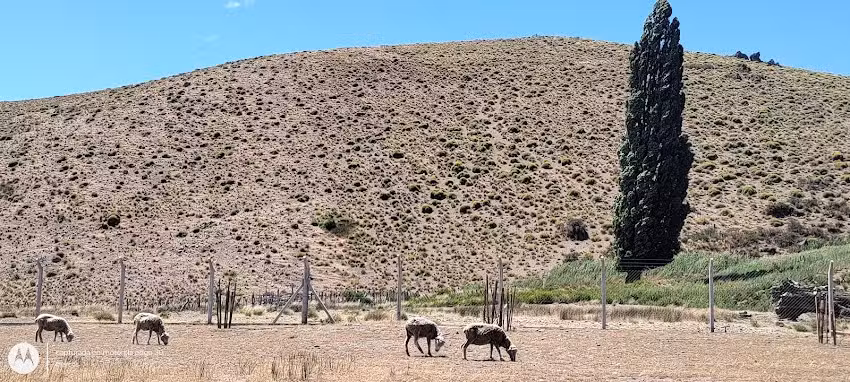 Cpem Nº 86 Costa de Malleo