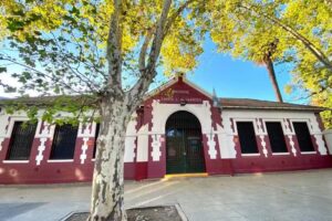 Damasa Z de Saavedra