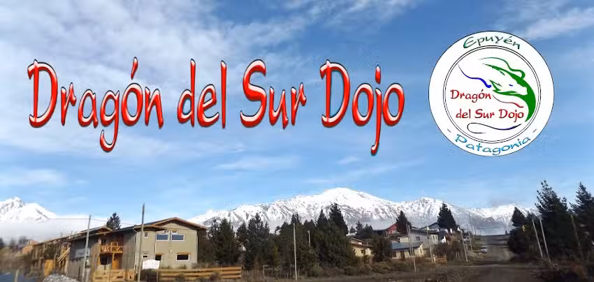 Dragón del Sur Dojo Aikido Karatedo Judo Defensa Artes marciales y Actividades