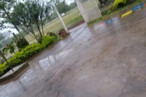 Eep N 375 Ecos Solidarios