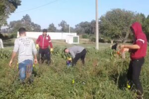 Eesa Nº 1 Dr Bernardo de Irigoyen