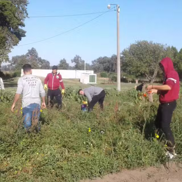 Eesa Nº 1 Dr Bernardo de Irigoyen