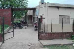 Ees N 140 Prof Ana María Romero